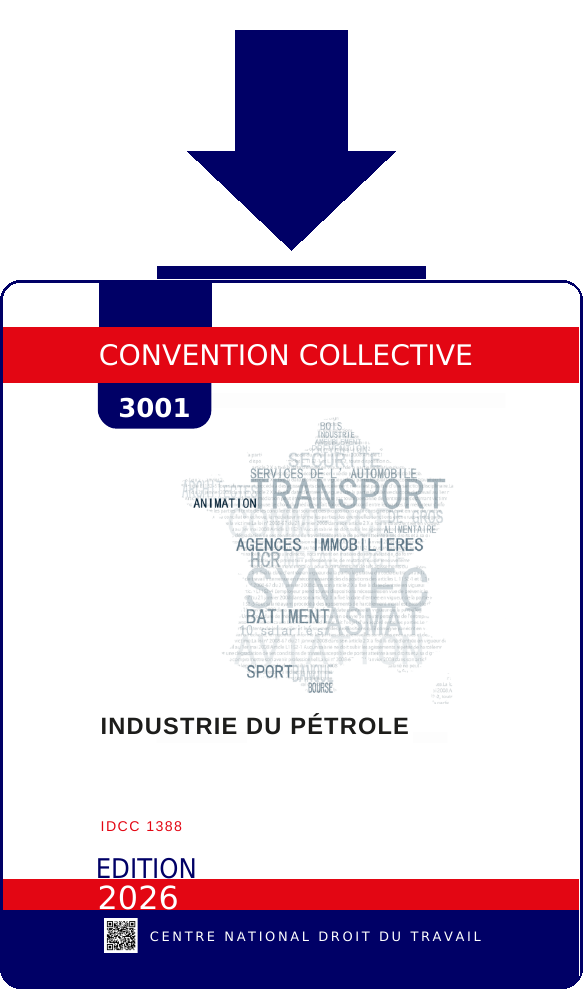 Convention 3001 - Telechargement PDF